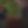 BandLab banner for @explicit