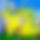 BandLab banner for @g_05