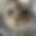 BandLab banner for @darfur