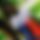 BandLab banner for @lunching
