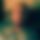 BandLab banner for @pete