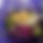 BandLab banner for @alcatel
