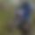 BandLab banner for @lambs