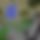 BandLab banner for @windeexd