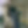 BandLab banner for @undercut
