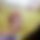 BandLab banner for @cette