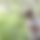 BandLab banner for @mughal