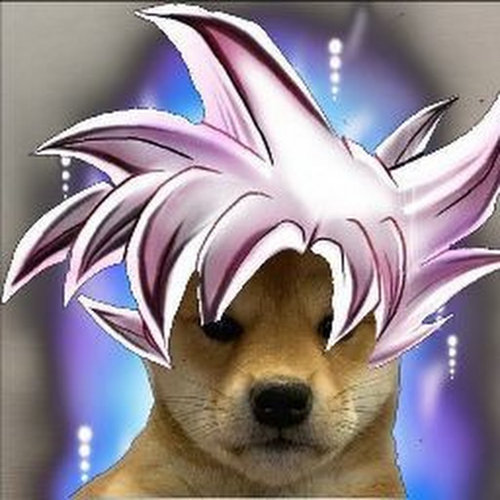BandLab profile picture for @zmkenji
