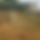 BandLab banner for @noxious