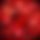 BandLab banner for @bots