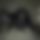 BandLab banner for @paralysis