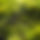 BandLab banner for @twat