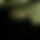BandLab banner for @s1roun