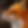 BandLab banner for @lautrixd