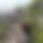 BandLab banner for @cerebrum