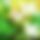 BandLab banner for @isira