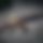 BandLab banner for @jjkkff