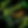 BandLab banner for @padded
