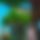 BandLab banner for @oakzxy