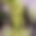 BandLab banner for @interviewing