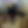 BandLab banner for @isaque