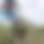BandLab banner for @card