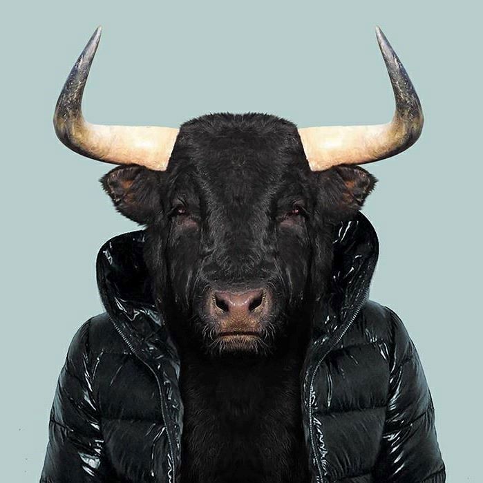 BandLab profile picture for @zyban
