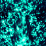 BandLab profile picture for @coordinator