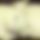 BandLab banner for @bree