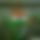 BandLab banner for @manav123