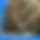 BandLab banner for @maggot