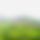 BandLab banner for @fiddle