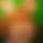 BandLab banner for @granddad