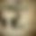 BandLab banner for @frontline