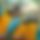BandLab banner for @animals