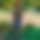 BandLab banner for @sasssa