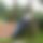 BandLab banner for @onailime