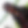 BandLab banner for @ffdj