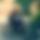 BandLab banner for @novel