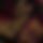 BandLab banner for @ethical