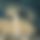 BandLab banner for @revolve