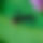 BandLab banner for @senura1