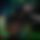 BandLab banner for @gradual