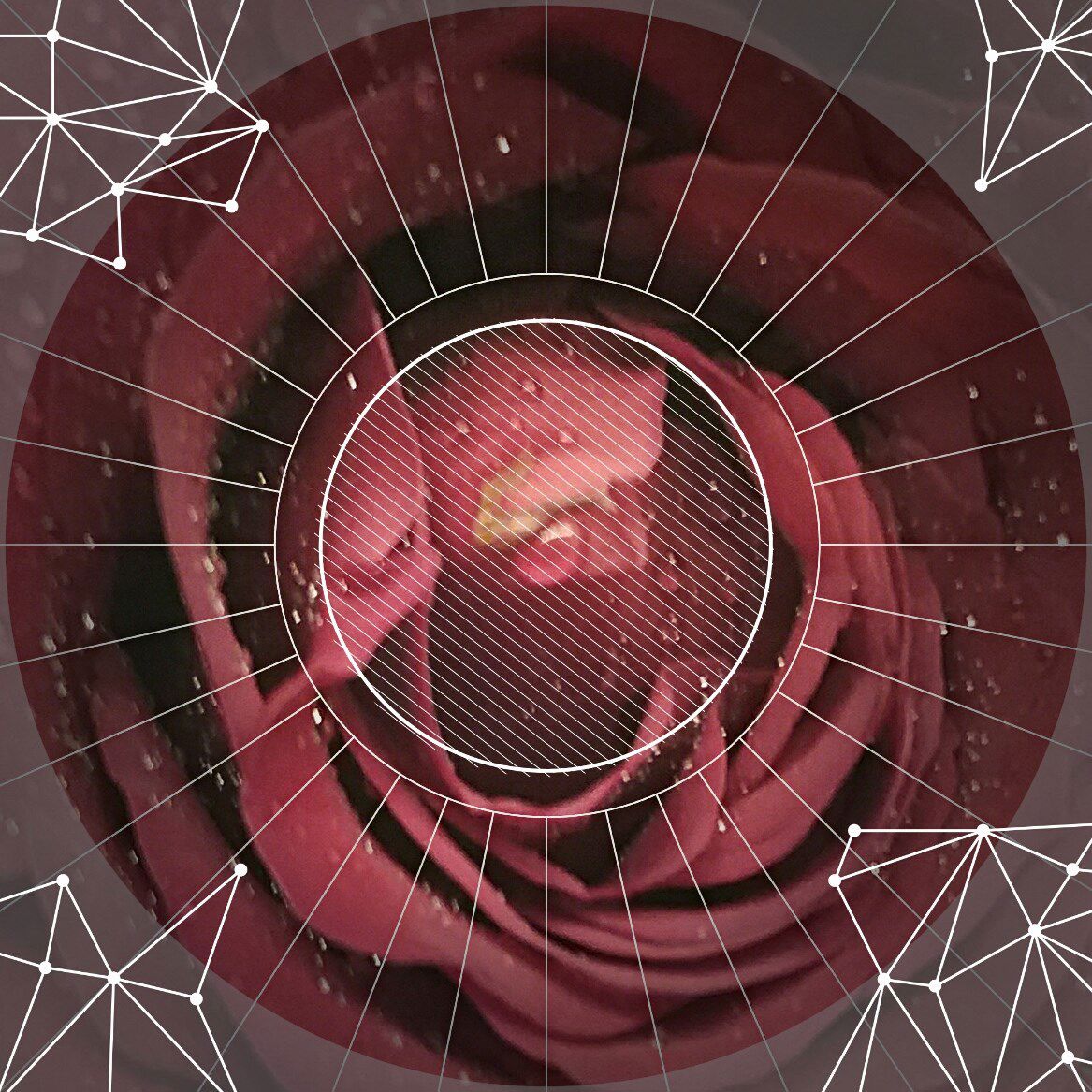 BandLab profile picture for @feign