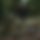BandLab banner for @yukiioo