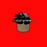 BandLab profile picture for @sorin