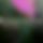 BandLab banner for @fluorescence