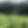 BandLab banner for @skids