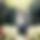 BandLab banner for @especially