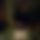 BandLab banner for @terrencem